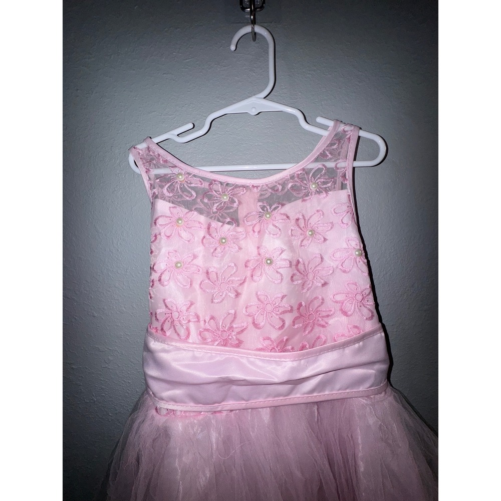 Joykids USA Pink Floral Embroidered Tulle Formal Dress Gown Size 12 Flower Girl - Picture 2 of 6